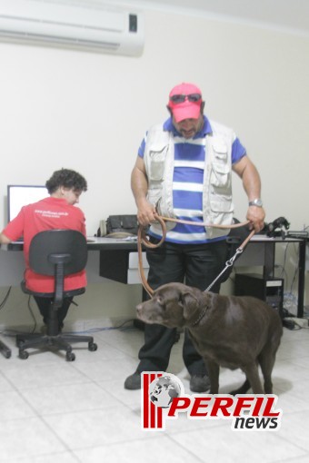Adestrador ajuda seu cão a te proteger em Três Lagoas