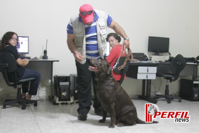 Adestrador ajuda seu cão a te proteger em Três Lagoas