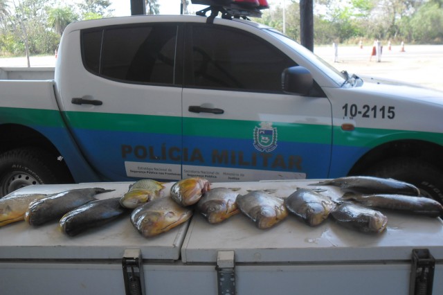 PMA prende quatro turistas paulistas com 186 kg de pescado ilegal