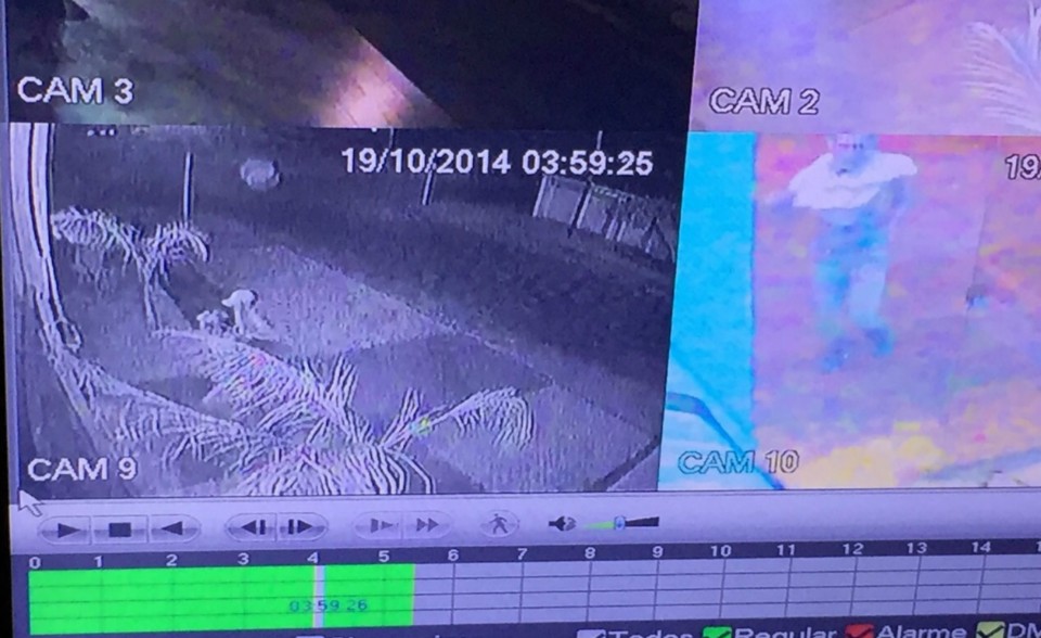 Em Três Lagoas ladrões invadem lojas e são flagrados pelas câmeras