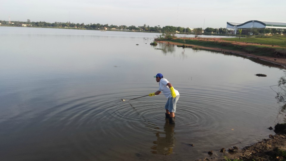 Açougueiro “abraça causa” e faz limpeza voluntária da Circular da Lagoa Maior