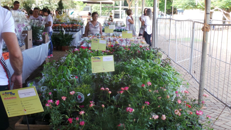 Exposição solidária de flores beneficiará APAE de Três Lagoas