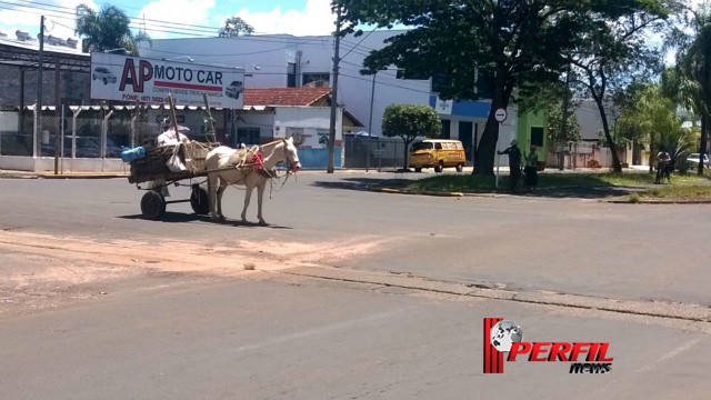 Três-lagoense deixa cavalo no sol em avenida e vai ‘bater papo’