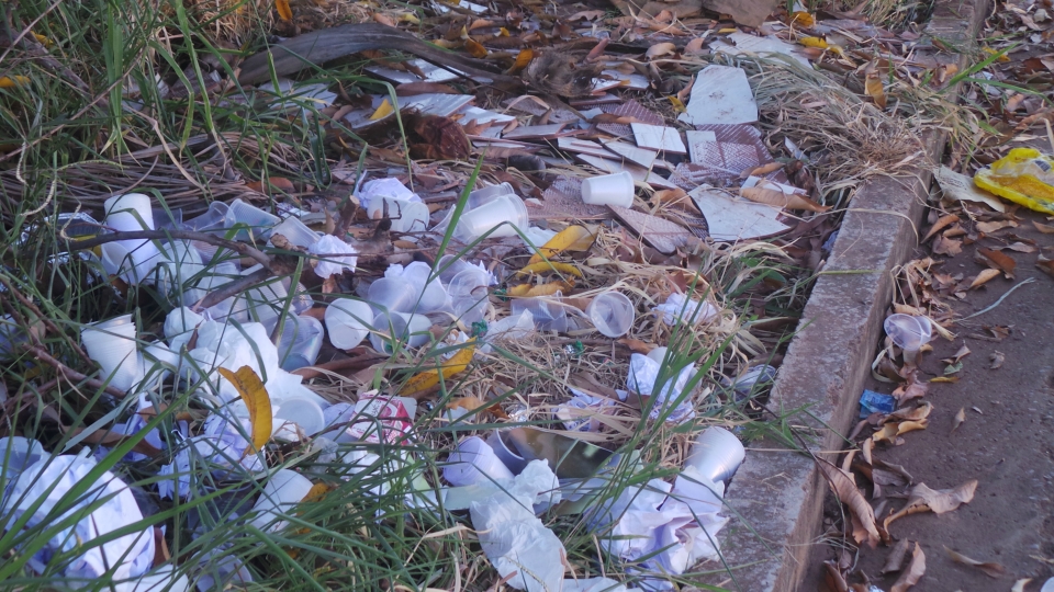 Terreno em área central de Três Lagoas vira depósito de lixo