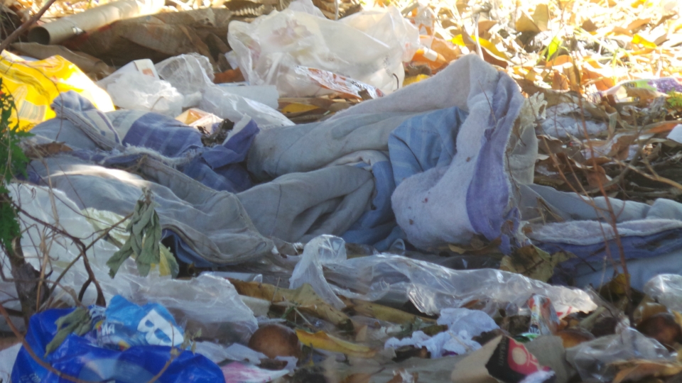 Terreno em área central de Três Lagoas vira depósito de lixo