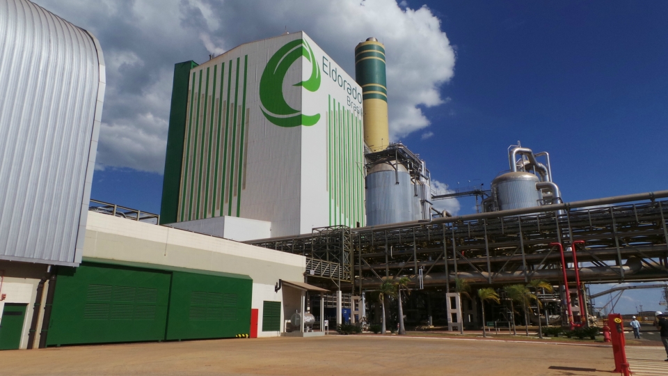 Em 40 meses de atividades, Eldorado atinge marca mundial de produção de celulose