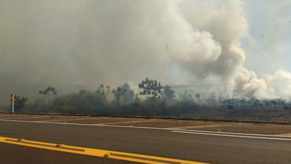 Incêndio de grande proporção mobiliza bombeiros na BR-158 em Três Lagoas