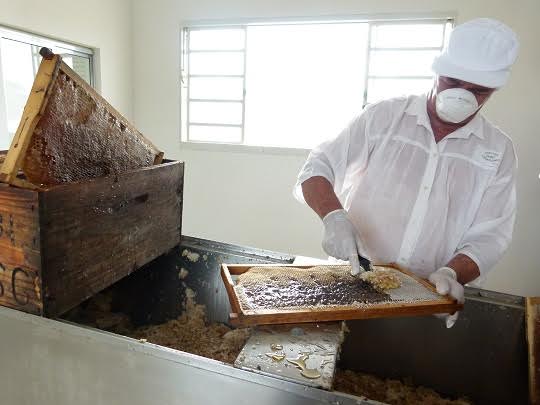 Com apoio da Fibria, Programa Colmeias em Mato Grosso do Sul bate recorde de produção de mel em 2016