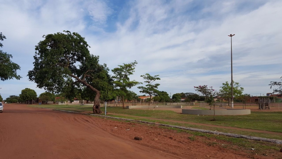 SEMEA remove e substitui árvores condenadas no Jardim Oiti e no Centro de Três Lagoas