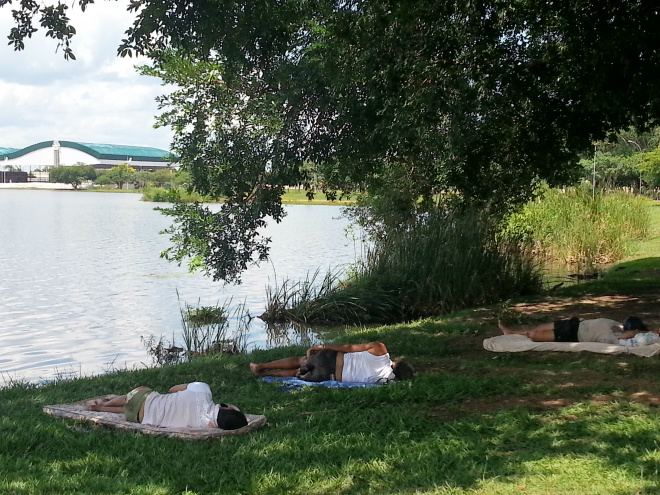PMA e órgãos ambientais vão se reunir para decidir futuro do jacaré da lagoa Algumas pessoas não se incomodam com a presença do jacaré e até aproveitam a sombra para dormir. Foto: Cilleid Heredia