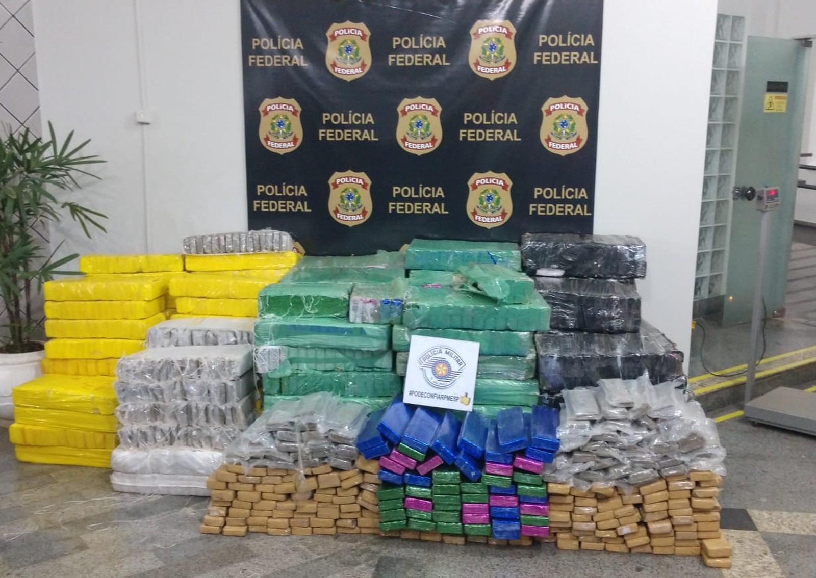 Polícia apreende 2,6 toneladas de maconha entre Três Lagoas e Castilho. (Foto: Divulgação/TOR). 