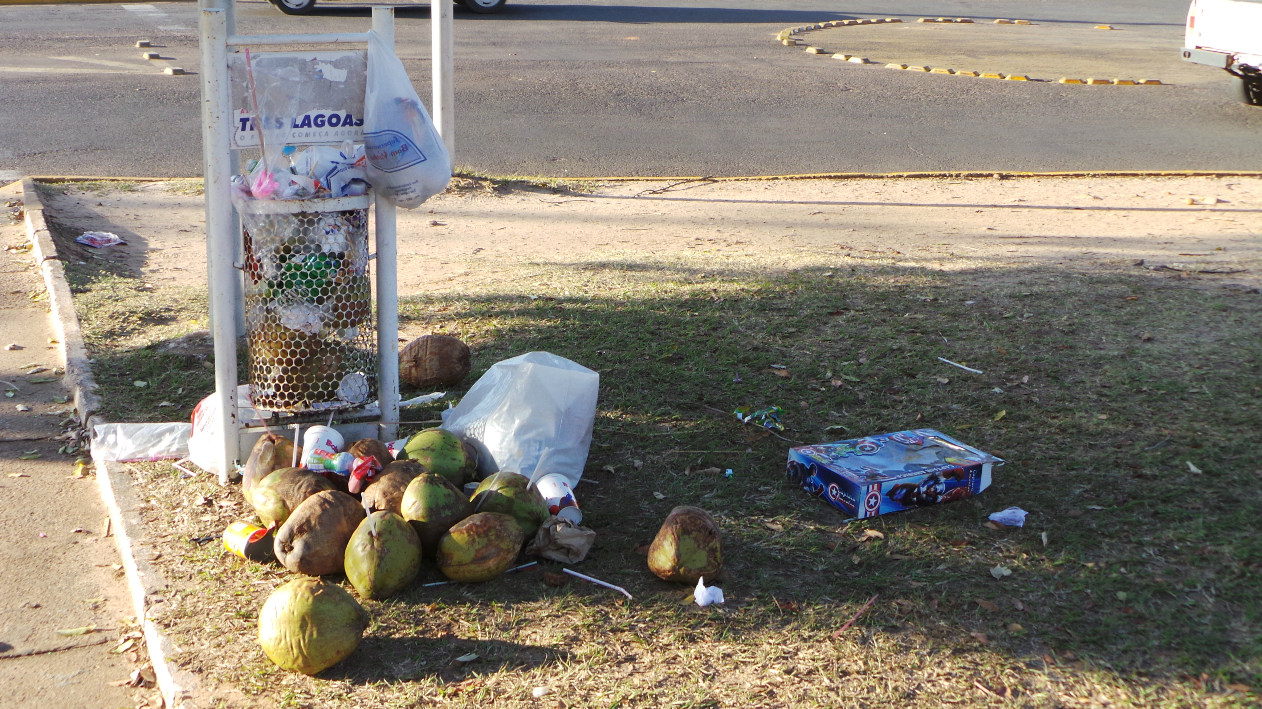 Abarrotadas, as lixeiras transbordam e sem espaço as pessoas depositam o lixo na grama (Fotos: Ricardo Ojeda)