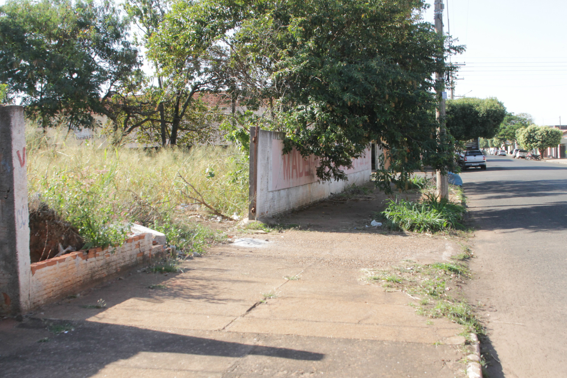 Terreno com muro, mas completamente tomado pelo matagal, na esquina das ruas João Carrato e DAvid de Alexandria, no bairro Lapa (Foto: Edivelton Kologi)