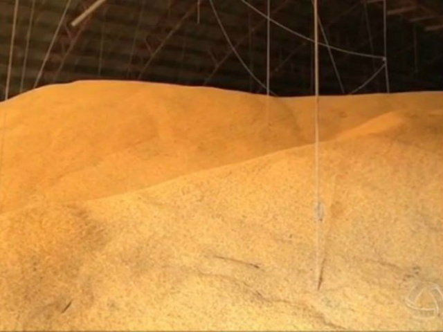 Preços da soja voltaran a cair na bolsa de Chicago (Foto: Reprodução/TV Morena)

