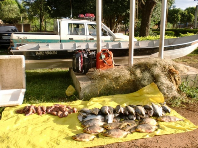 São no total 78 quilos de pescado apreendidos. Foto: PMA
