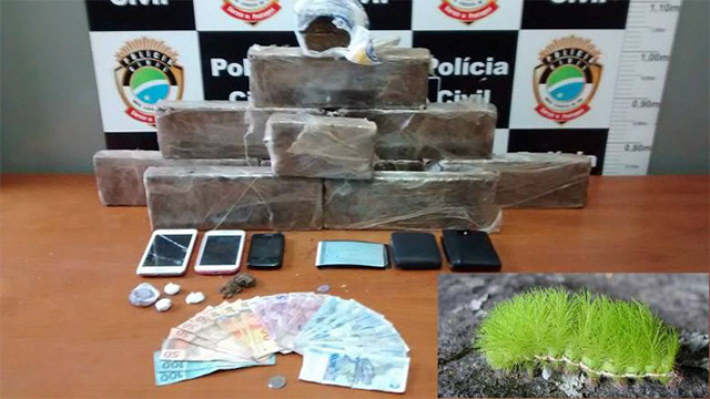 Operação Casulo resultou em três autuados por tráfico de drogas, a apreensão de aproximadamente dez quilos de maconha, três trouxinhas de cocaína, R$ 508 em dinheiro e três aparelhos de celular