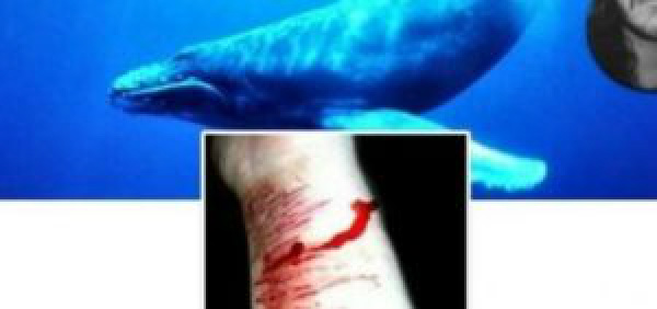 Jogo da Morte, Baleia Azul chega nas escolas estaduais de MS