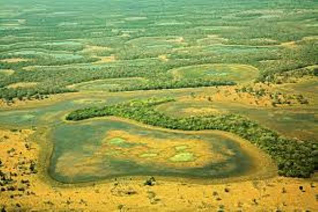 Dos 370 mil quilômetros quadrados da Bacia do Alto Paraguai no Brasil, que inclui todo o Pantanal e parte do Cerrado, cerca de 2 mil Km² foram desmatados desde 2010 (Foto: WWF)
