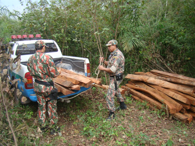 A PMA autuou o dono da madeira, um assentado de 43 anos, residente em Corumbá e aplicou multa de R$ 900,00 (Foto: Divulgação/PMA MS)