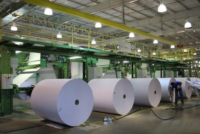 Fabricação de celulose e outras pastas para a fabricação de papel obteve saldo positivo no período. (Foto: Divulgação)