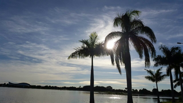 Após a chuva desta quinta-feira, o céu amanheceu com poucas nuvens, no detalhe coqueiros embelezam a Lagoa Maior nesta manhã. (Foto: Ricardo Ojeda)