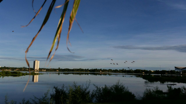 Um bando de pássaros são vistos nesta manhã na Lagoa Maior. (Foto: Ricardo Ojeda)