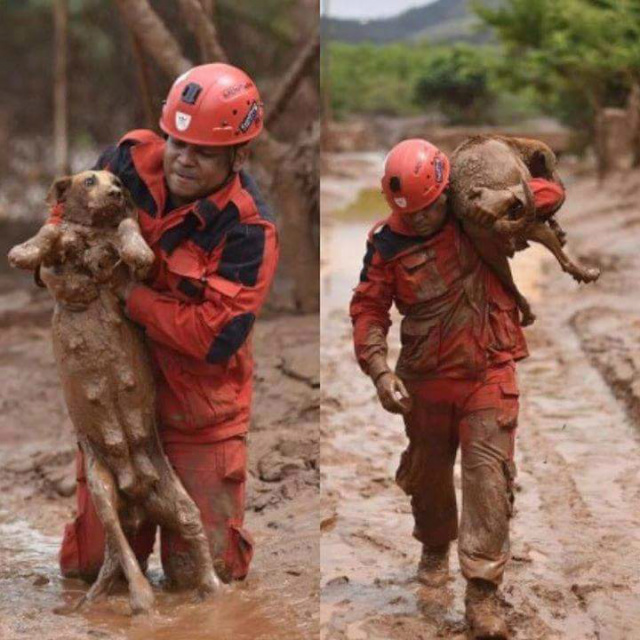 Essa imagem já rodou o mundo através das mídias sociais e mostra a grandeza do bombeiro em carregar a cadela para receber socorro (Foto: Divulgação) 