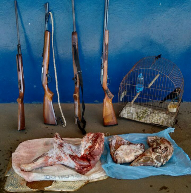 Rifles, ave e carne de animais apreendidos pela PMA (Foto: Assessoria)
