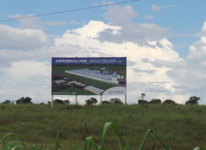 Painel instalado nas proximidades do trevo às margens da BR 262, na saída para Três Lagoas anunciando a construção da fábrica da Asperbrás (Foto: Ricardo Ojeda) 