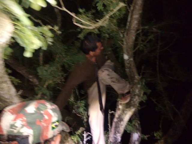 A vítima foi encontrada em uma árvore. (Foto: PMA)