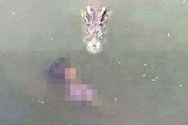Na foto é possível ver quando um dos crocodilos se aproxima da mulher (Reprodução/Mirror)