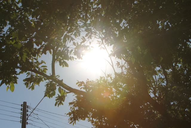 Com sol forte, a terça-feira tem previsão de altas temperaturas em Três Lagoas. (Foto: Patrícia Miranda)