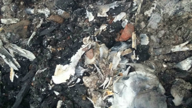 Após apagar as chamas, os policiais civis encontraram vestígios de uma ossada humana. (foto: Assessoria)