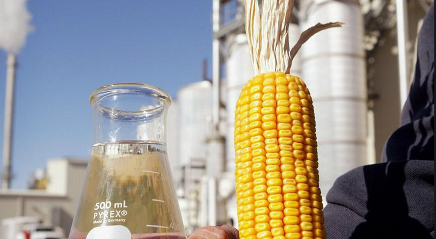 A Usina será a primeira do país a produzir etanol a partir do milho (Foto: Ilustração)