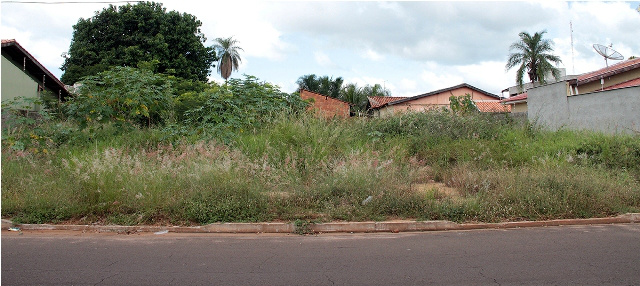 A limpeza de terrenos baldios nos bairros foi outra solicitação dos parlamentares de Três Lagoas (Foto: Divulgação)