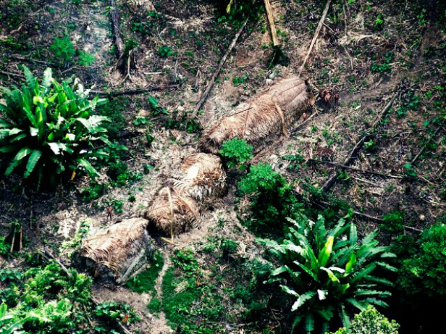 Imagem do Vale do Javari; registro foi feito em abril de 2011 em sobrevoo de monitoramento da Funai (Foto: Divulgação/Funai)