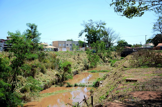 O mutirão concentrou-se num trecho de uns 500 metros do Córrego, na margem direita, aos fundos da Escola Municipal Eufrosina Pinto, e na margem esquerda, no trecho da Vila Zucão (Foto: Divulgação)