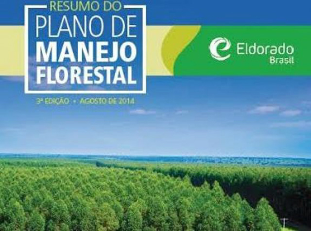 Atualmente a companhia tem cerca de 180 mil hectares de florestas de eucalipto, em uma área que abrange dez cidades do Mato Grosso do Sul  (Foto: Divulgação)