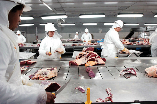 A decisão russa de abrir as importações de carne suína, bovina e de frango do Brasil com o credenciamento de 80 frigoríficos brasileiros já está gerando oportunidades de negócios para as indústrias sul-mato-grossenses (Foto: Assessoria)