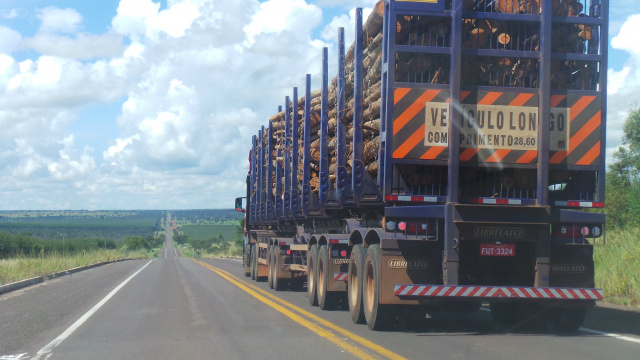 A movimentação de carretas transportando madeira para abastecer as indústrias de celulose em Três Lagoas é constante na BR (Foto: Ricardo Ojeda)