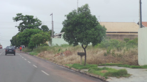 Outro terreno localizado no Vila Nova e que os moradores denunciaram à reportagem da existência de caramujos e escorpiões que invadem suas casas (Foto: Ricardo Ojeda)