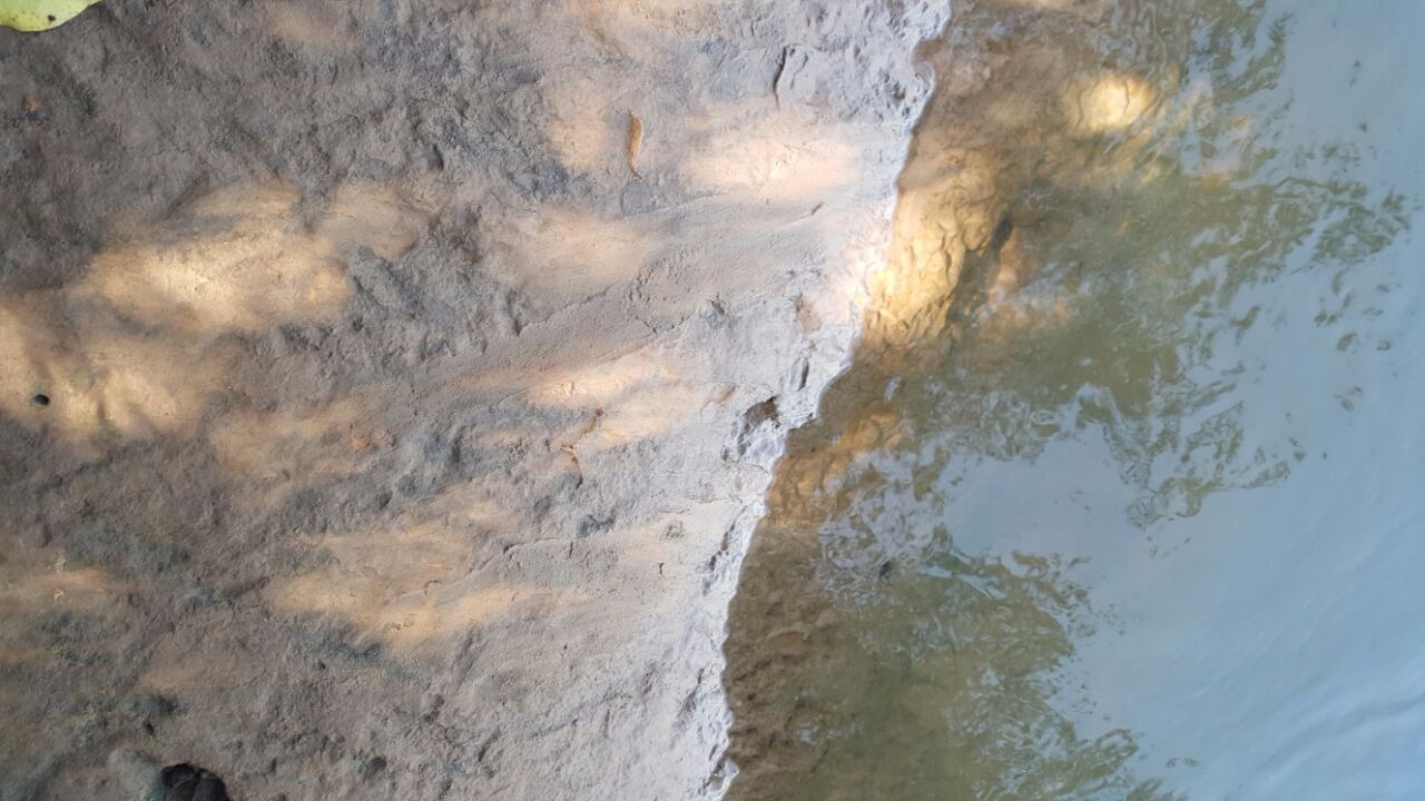 No barranco, é possível ver um rastro que indica que o rapaz pode ter escorregado e caído no rio. (Foto: Divulgação/ Corpo de Bombeiros). 
