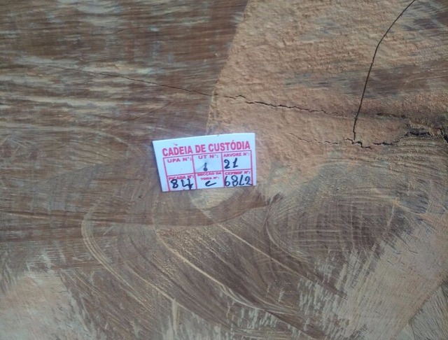 Toda a madeira vendida ou utilizada na fabricação de moveis pela Mademinas tem certificação do Ibama (Foto: Mademinas / Divulgação)