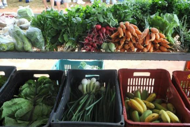 Frutas e legumes na alimentação melhoram saúde física e mental. (FOTO: Agência Brasil)