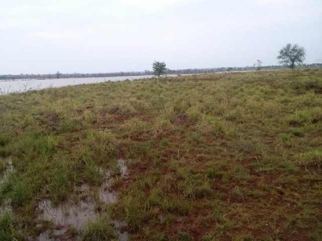 A licença exigia que a empresa cercasse toda a Área de Preservação Permanente (APP), no entorno do lago e do curso do rio Indaiazinho (Foto: Divulgação)
