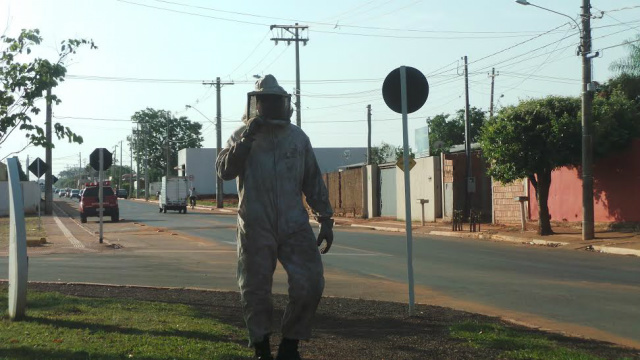 Um bombeiro militar, usando traje especial, vistoria a área para ver onde a colméia estava (Foto: Ricardo Ojeda)