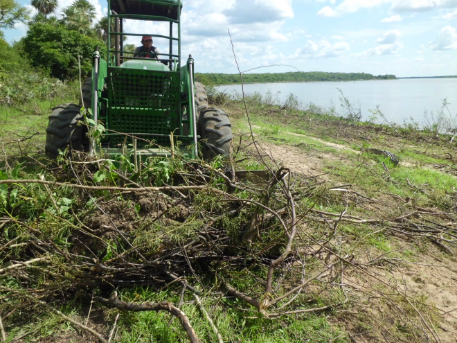 O fazendeiro, realizou em sua propriedade com uso de um trator, a derrubada da vegetação e limpeza próxima à margem do rio, sem autorização ambiental (Foto: Divulgação/Assecom)