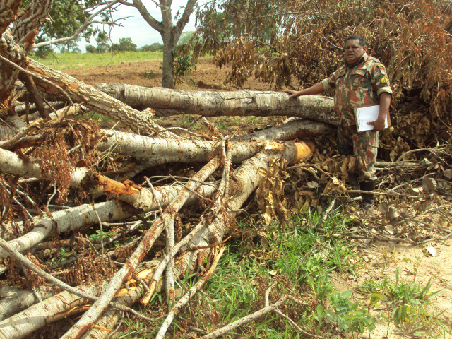 Matas ciliares de um córrego que corta a propriedade rural foram destruídas. (Foto: PMA/MS) 