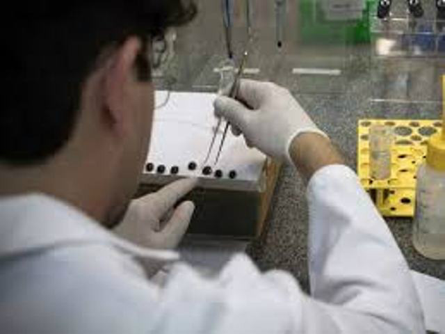 Cientista do Butantan manipula carrapatos para extrair substância que foi capaz de reduzir tumor de pâncreas em laboratório (Foto: Fundação do Câncer)