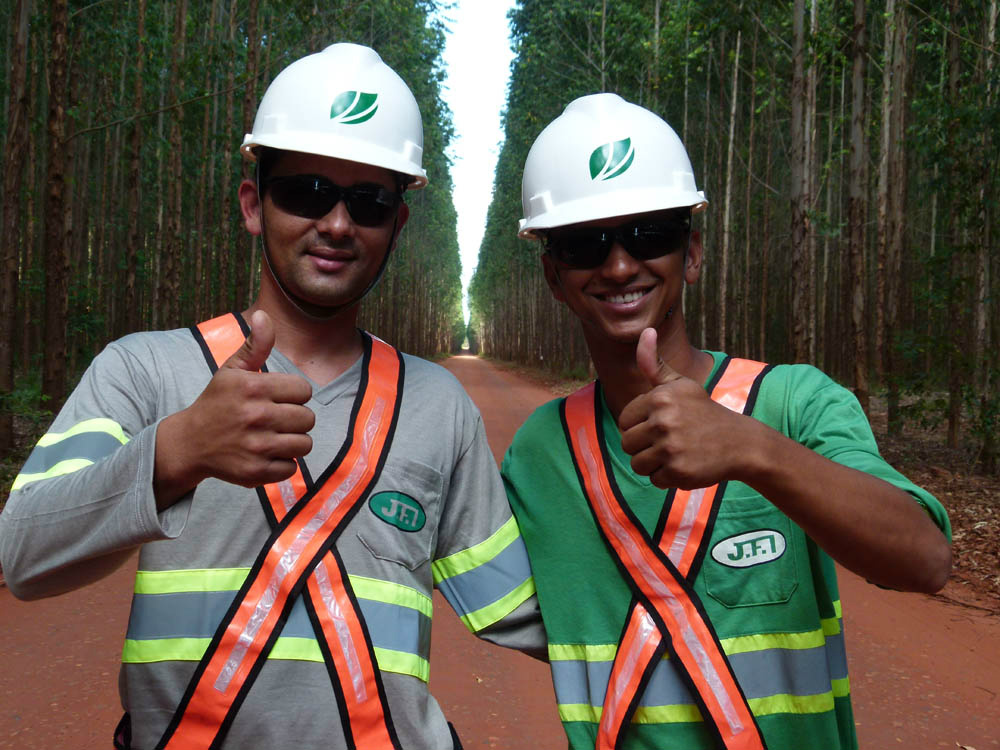 Em Mato Grosso do Sul, a empresa tem 177,6 mil hectares de florestas plantadas certificadas pelo FSC®. Essa certificação foi conquistada e tem sido mantida desde 2009. (Foto: Assessoria)